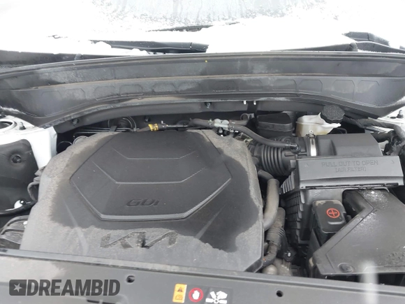 2023 Kia Telluride S with VIN 5XYP6DGC7PG363114, listed as a IAAI auction lot 41260043 with 49,499 mi miles and . Bid and sale history available at DreamBid. Image 10.