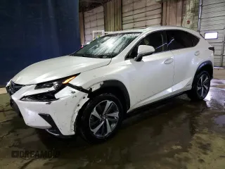 2019 Lexus NX 300h with VIN JTJBJRBZ7K2103135, listed as a Copart auction lot 52692635 with 88,555 mi miles and Clean title. Bid and sale history available at DreamBid. Image 1.