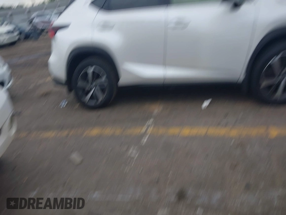 2019 Lexus NX 300 with VIN JTJYARBZ6K2134371, listed as a IAAI auction lot 42083498 with 120,558 mi miles and . Bid and sale history available at DreamBid. Image 13.