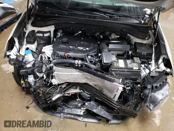 2019 Hyundai Santa Fe Ultimate with VIN 5NMS5CAD3KH073069, listed as a Copart auction lot 72809582 with 35,051 mi miles. Bid and sale history available at carsss.com. Image 11.