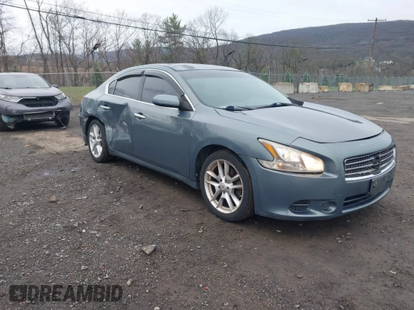 2009 Nissan Maxima SV with VIN 1N4AA51E89C853918, listed as a IAAI auction lot 41956138 with 116,410 mi miles and . Bid and sale history available at DreamBid. Image 1.