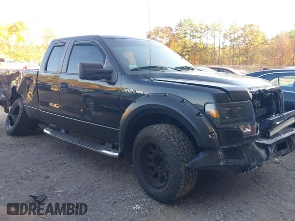2010 Ford F-150 XL z VIN 1FTEX1EW3AFB48534, wystawiony jako IAAI lot #40646062 z przebiegiem 138 625 mil mil oraz . Historia ofert i sprzedaży dostępna na DreamBid. Obrazek 1.