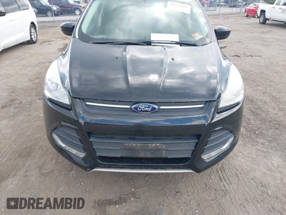2013 Ford Escape SE with VIN 1FMCU0G9XDUD47433, listed as a IAAI auction lot 42233412 with 180,098 mi miles and . Bid and sale history available at DreamBid. Image 6.