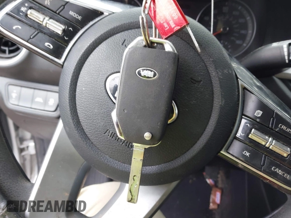 2019 Kia Forte LXS with VIN 3KPF24AD9KE032646, listed as a IAAI auction lot 41739585 with 136,813 mi miles and . Bid and sale history available at DreamBid. Image 11.