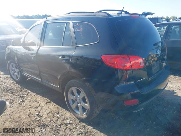 2009 Hyundai Santa Fe SE with VIN 5NMSH13E49H329117, listed as a IAAI auction lot 41995036 with 251,494 mi miles. Bid and sale history available at carsss.com. Image 3.