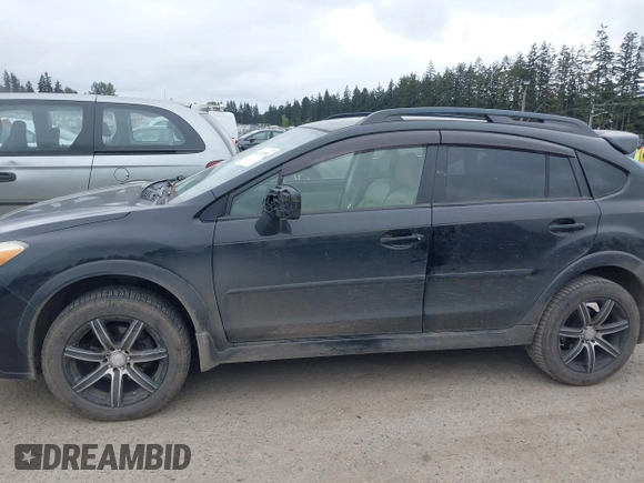 2013 Subaru Crosstrek Limited с VIN JF2GPAGC9D2820444, выставлен на аукционе IAAI как лот 42121954 с пробегом 123 325 миль миль и . История ставок и продаж доступна на DreamBid. Изображение 14.