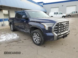 2022 Toyota Tundra Platinum with VIN 5TFNA5DB3NX010399, listed as a Copart auction lot 88658185 with 28,045 mi miles and Salvage title. Bid and sale history available at DreamBid. Image 4.