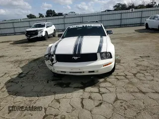 2005 Ford Mustang Deluxe with VIN 1ZVFT84N455250273, listed as a Copart auction lot 50923095 with Not Provided miles and Salvage Title. Bid and sale history available at carsss.com. Image 10.