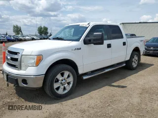 2013 Ford F-150 XL with VIN 1FTFW1EF2DFB70889, listed as a Copart auction lot 59397105 with 229,125 mi miles and Clean title. Bid and sale history available at DreamBid. Image 1.