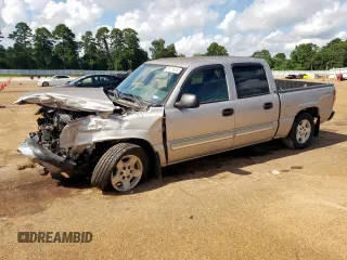 2005 Chevrolet Silverado 1500 LS with VIN 2GCEC13T251386215, listed as a Copart auction lot 61920925 with 158,376 mi miles and Salvage title. Bid and sale history available at DreamBid. Image 1.