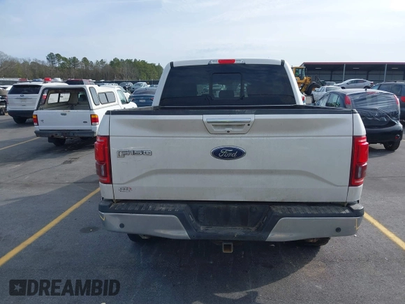 2017 Ford F-150 XL with VIN 1FTEW1EG5HFC49810, listed as a IAAI auction lot 41452273 with 174,020 mi miles. Bid and sale history available at carsss.com. Image 15.
