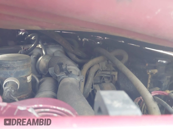 1995 Ford F-150 with VIN 1FTEF14Y9SNA08419, listed as a IAAI auction lot 42128480 with Not Provided miles and . Bid and sale history available at DreamBid. Image 10.