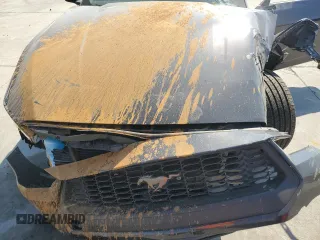 2024 Ford Mustang EcoBoost with VIN 1FA6P8TH6R5130831, listed as a Copart auction lot 75102194 with 884 mi miles and Salvage Title. Bid and sale history available at DreamBid. Image 13.