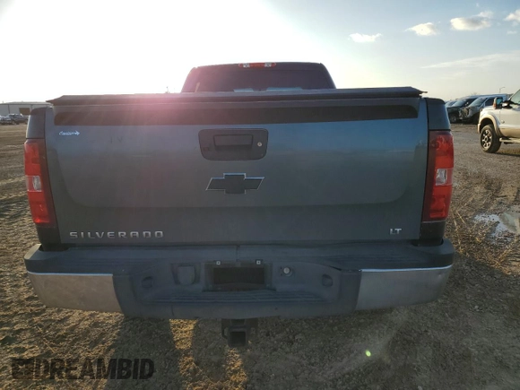 2010 Chevrolet Silverado 1500 with VIN 1GC4C0BG4AF138349, listed as a Copart auction lot 44080125 with 125,214 mi miles and Salvage Title. Bid and sale history available at DreamBid. Image 6.