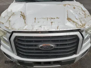 2015 Ford F-150 XLT with VIN 1FTEW1EP5FKE65435, listed as a Copart auction lot 48237125 with Not Provided miles and Salvage Title. Bid and sale history available at DreamBid. Image 12.
