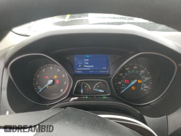 2013 Ford Focus SE with VIN 1FADP3K22DL381079, listed as a Copart auction lot 43721715 with 132,834 mi miles and Salvage Title. Bid and sale history available at carsss.com. Image 9.