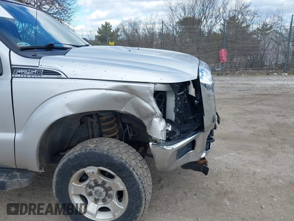2016 Ford F-250 XLT with VIN 1FTBF2B61GEB11867, listed as a IAAI auction lot 41858547 with 96,059 mi miles and . Bid and sale history available at DreamBid. Image 17.