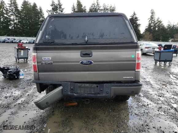 2014 Ford F-150 XL with VIN 1FTEX1CM5EKF19742, listed as a Copart auction lot 47705005 with 222,110 mi miles and Salvage Title. Bid and sale history available at carsss.com. Image 6.