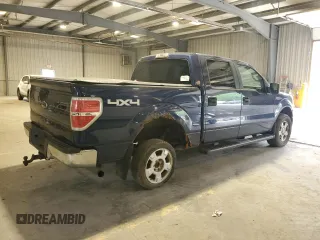 2010 Ford F-150 XL with VIN 1FTEW1E80AFA72209, listed as a Copart auction lot 59780475 with 130,618 mi miles and Clean title. Bid and sale history available at DreamBid. Image 3.