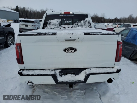 2024 Ford F-150 XLT with VIN 1FTEW3LP7RFB99251, listed as a Copart auction lot 43897365 with 3,595 mi miles and Salvage Title. Bid and sale history available at carsss.com. Image 6.