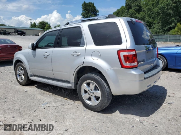 2010 Ford Escape Limited with VIN 1FMCU0E77AKC58458, listed as a Copart auction lot 64207645 with 160,650 mi miles and Salvage title. Bid and sale history available at DreamBid. Image 2.