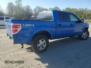 2013 Ford F-150 XL with VIN 1FTFW1EF3DFA87410, listed as a Copart auction lot 53025645 with 219,758 mi miles and Salvage Title. Bid and sale history available at DreamBid. Image 3.