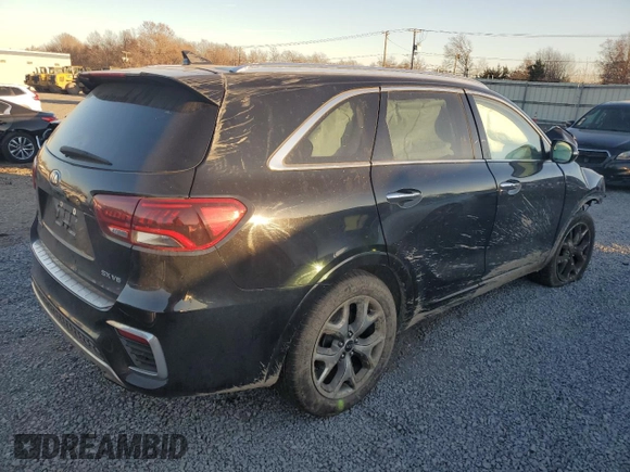 2019 Kia Sorento SX V6 with VIN 5XYPKDA50KG509884, listed as a Copart auction lot 80988934 with 0 mi miles and Salvage Title. Bid and sale history available at carsss.com. Image 3.