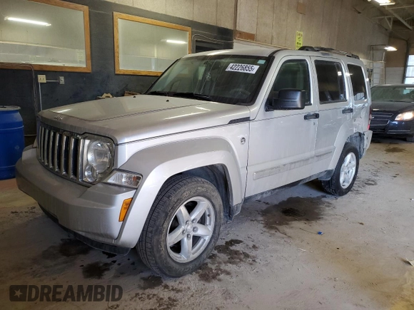 2008 Jeep Liberty Limited with VIN 1J8GN58K28W123335, listed as a Copart auction lot 42226855 with 137,677 mi miles and Salvage Title. Bid and sale history available at DreamBid. Image 1.
