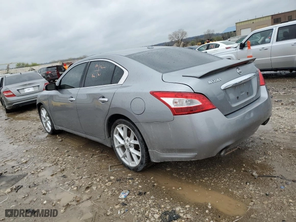 2009 Nissan Maxima 3.5 SV with VIN 1N4AA51EX9C814036, listed as a Copart auction lot 51849565 with 209,715 mi miles and Salvage Title. Bid and sale history available at carsss.com. Image 2.