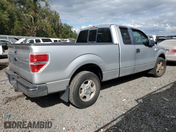 2010 Ford F-150 XL with VIN 1FTEX1C81AFB71833, listed as a Copart auction lot 80022734 with Not provided miles and Salvage title. Bid and sale history available at DreamBid. Image 3.
