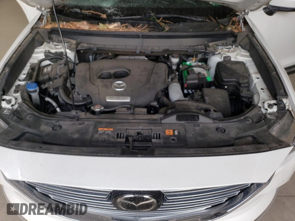 2019 Mazda CX-9 Grand Touring with VIN JM3TCBDY2K0313173, listed as a Copart auction lot 45555705 with 48,286 mi miles and Salvage Title. Bid and sale history available at carsss.com. Image 13.