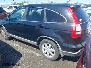 2009 Honda CR-V EX-L with VIN 5J6RE48749L018251, listed as a IAAI auction lot 41559710 with 1 mi miles. Bid and sale history available at carsss.com. Image 3.
