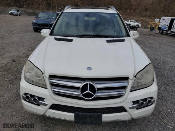 2010 Mercedes-Benz GL-Class GL 450 with VIN 4JGBF7BE0AA543834, listed as a Copart auction lot 51499045 with 157,976 mi miles and Clean Title. Bid and sale history available at carsss.com. Image 5.