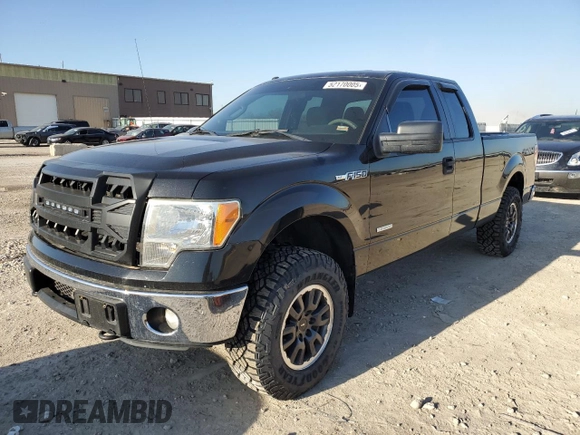 2012 Ford F-150 XL with VIN 1FTFX1ET6CFD06068, listed as a Copart auction lot 52170005 with 195,272 mi miles and Salvage Title. Bid and sale history available at carsss.com. Image 1.