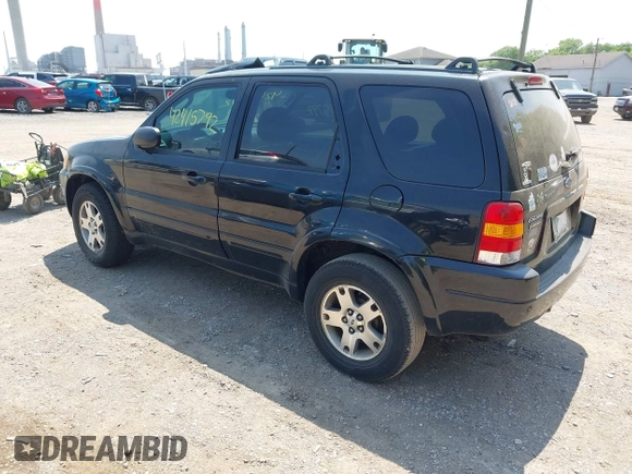 2003 Ford Escape Limited with VIN 1FMCU04113KB81019, listed as a IAAI auction lot 42415792 with 254,698 mi miles and . Bid and sale history available at DreamBid. Image 3.