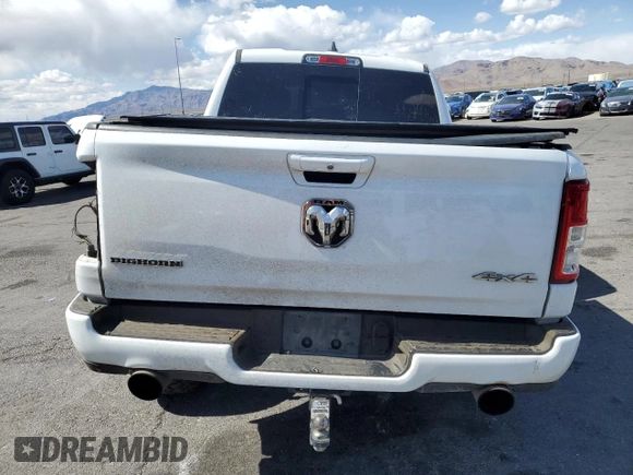 2019 Ram 1500 Big Horn with VIN 1C6SRFFT3KN645645, listed as a Copart auction lot 52038525 with 116,447 mi miles and Salvage title. Bid and sale history available at DreamBid. Image 6.