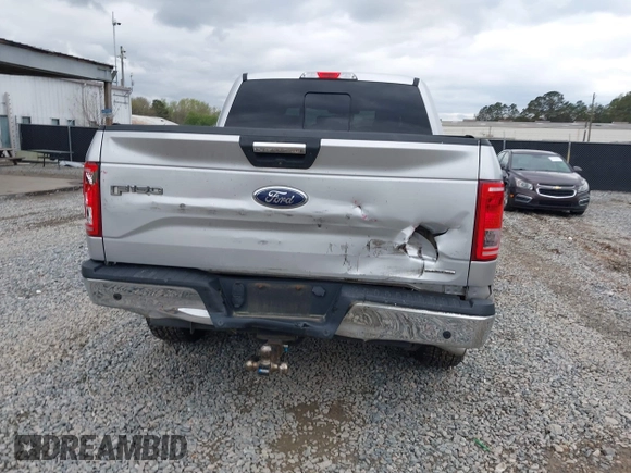 2016 Ford F-150 XLT with VIN 1FTEW1EF1GFB41139, listed as a IAAI auction lot 41867138 with 133,256 mi miles. Bid and sale history available at carsss.com. Image 16.