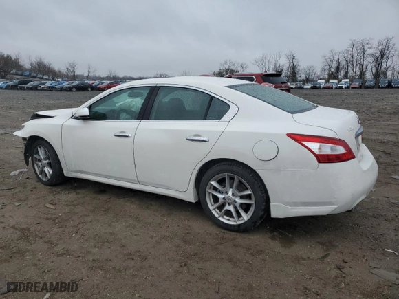 2009 Nissan Maxima 3.5 S with VIN 1N4AA51EX9C826770, listed as a Copart auction lot 50288265 with 151,972 mi miles and Salvage Title. Bid and sale history available at carsss.com. Image 2.