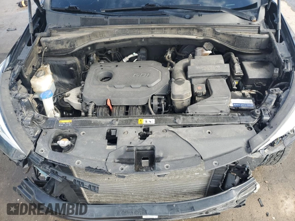 2017 Hyundai Santa Fe 2.4L with VIN 5NMZTDLB9HH027034, listed as a Copart auction lot 47347205 with 98,242 mi miles and Salvage title. Bid and sale history available at DreamBid. Image 12.