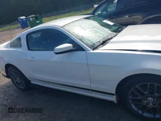 2013 Ford Mustang V6 with VIN 1ZVBP8AMXD5281234, listed as a IAAI auction lot 42260113 with 124,188 mi miles and . Bid and sale history available at DreamBid. Image 13.