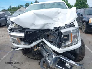 2019 Ford F-150 XL with VIN 1FTEW1E53KFD17091, listed as a IAAI auction lot 42320554 with 166,961 mi miles and . Bid and sale history available at DreamBid. Image 6.