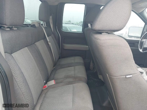 2010 Ford F-150 XL with VIN 1FTEX1CW9AFA31169, listed as a IAAI auction lot 41746333 with 171,001 mi miles. Bid and sale history available at carsss.com. Image 8.