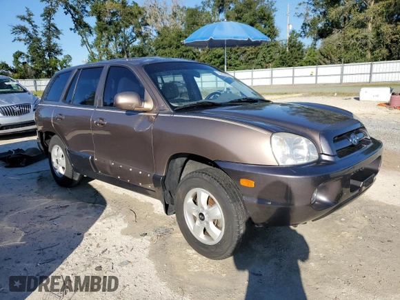 2005 Hyundai Santa Fe GLS with VIN KM8SC13D35U955102, listed as a Copart auction lot 76293854 with 107,406 mi miles and Salvage Title. Bid and sale history available at carsss.com. Image 4.