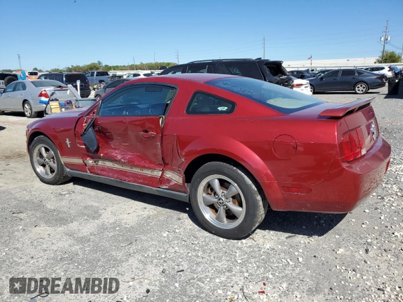 2006 Ford Mustang Standard with VIN 1ZVFT80N365106267, listed as a Copart auction lot 49793925 with Not Provided miles and Salvage Title. Bid and sale history available at carsss.com. Image 2.