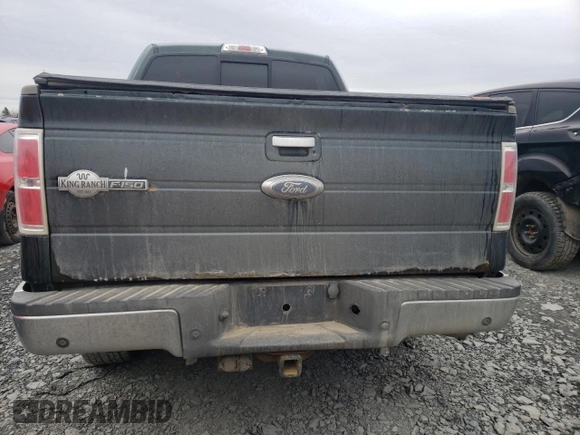 2013 Ford F-150 with VIN 2ATE01102DKD97632, listed as a Copart auction lot 49815235 with Not provided miles and Salvage title. Bid and sale history available at DreamBid. Image 6.