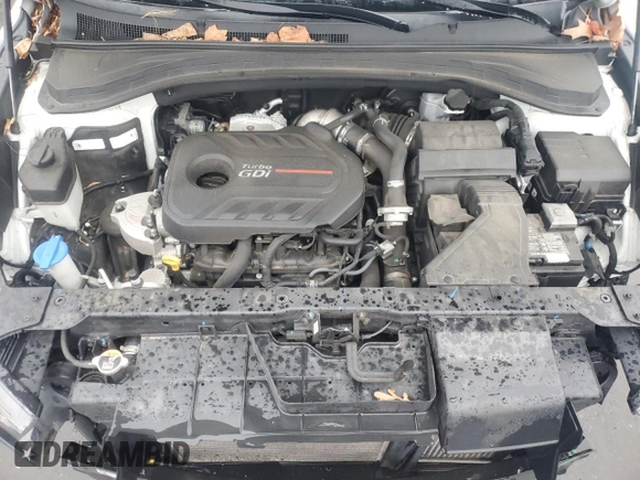 2020 Hyundai Santa Fe SEL with VIN 5NMS3CAA8LH150399, listed as a Copart auction lot 43323105 with 57,781 mi miles and Salvage Title. Bid and sale history available at carsss.com. Image 12.