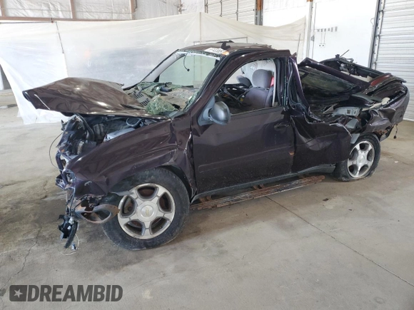 2008 Chevrolet TrailBlazer LT with VIN 1GNET13M582110065, listed as a Copart auction lot 55140385 with Not Provided miles and Non Repairable. Bid and sale history available at DreamBid. Image 1.