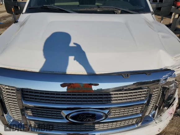 2010 Ford F-150 XL with VIN 1FTFW1EV4AFD25526, listed as a Copart auction lot 58561145 with 275,719 mi miles and Salvage title. Bid and sale history available at DreamBid. Image 11.