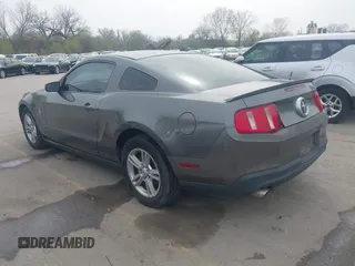 2011 Ford Mustang V6 with VIN 1ZVBP8AM6B5135684, listed as a IAAI auction lot 41997236 with 226,547 mi miles and . Bid and sale history available at carsss.com. Image 3.
