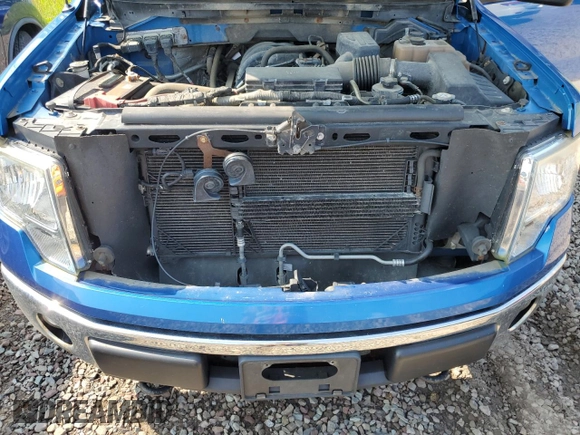 2010 Ford F-150 XL with VIN 1FTEX1E80AFD82972, listed as a Copart auction lot 63809995 with 87,293 mi miles and Clean title. Bid and sale history available at DreamBid. Image 11.